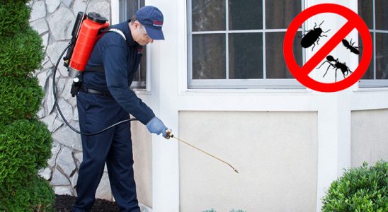 Eyyübiye Pire İlaçlama böcek ilaçlama ve haşere kontrolü — ilaclama-tr.com